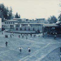 oes_photo_000397.jpg