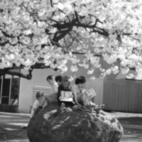 oes_photo_000385.jpg